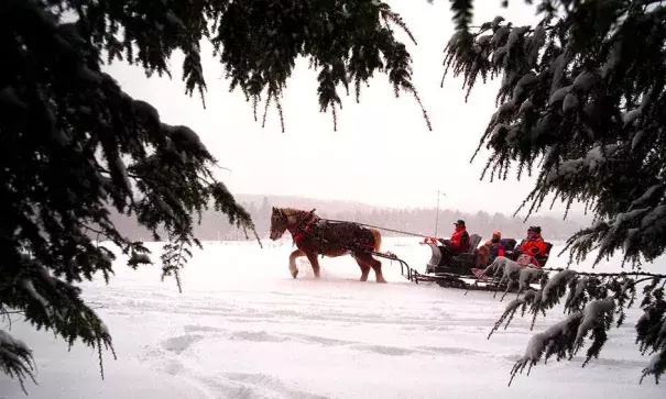 An iconic New England sleigh ride in Stowe, Vermont, in 1997. There may be fewer opportunities for rides like these in the future, thanks to climate change. Photo: Boston Globe