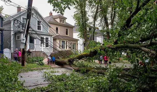 A street is blocked by fallen trees as a result of Hurricane Dorian pounding the area with heavy rain and wind in Halifax, Nova Scotia, on Sunday, Sept. 8, 2019. Credit: Andrew Vaughan/The Canadian Press via AP