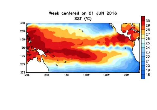 Sea surface temperature anomalies in the tropical Pacific show the dissipation of El Niño. Image: NOAA