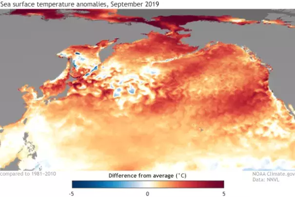 Sea surface temperature anomalies during September 2019. Climate.gov image based on NOAA NNVL and NCEI.