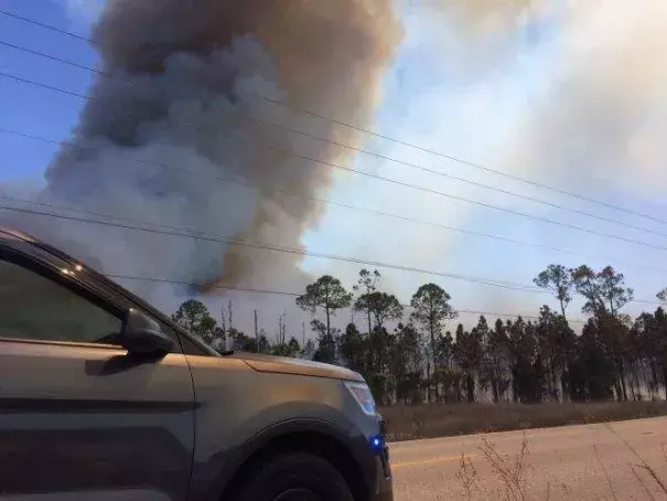 Hundreds of acres of mostly undeveloped grassland in Miami-Dade County burned this weekend. Photo: Associated Press