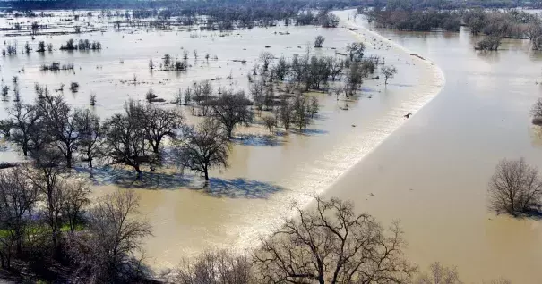 Water from the Sacramento River and Sutter Bypass travels over the Fremont Weir, the beginning of the Yolo Bypass, as it heads toward Sacramento. Photo: Randy Pench, The Sacrmaneto Bee