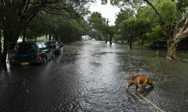 extreme rainfall caused flooding in Sydney