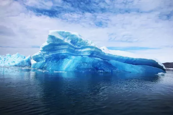 Calved icebergs from the nearby Twin Glaciers are seen floating on the water in Qaqortoq, Greenland. Photo: Joe Raedle, Getty Images