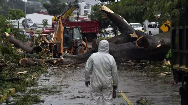 Workers cut a tree that killed a boy when it fell during a storm caused by Tropical Storm Otto in Panama City, Panama on November 22, 2016. Photo: Rodrigo Arangua, AFP, Getty Images