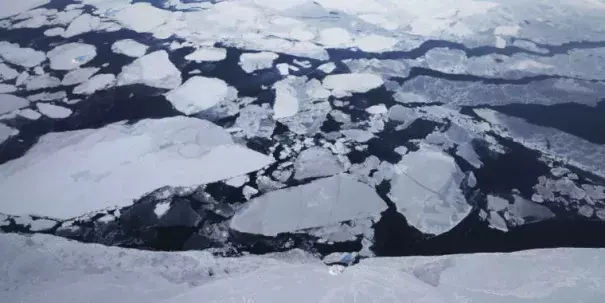 In Greenland, sea ice is seen from NASA's Operation IceBridge research aircraft in March 2017. Photo: Mario Tama, Getty Images