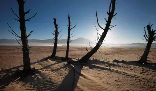Bare sand and dried tree trunks stand out on May 10, 2017, at Theewaterskloof Dam, near Villiersdorp, about 40 miles east of Cape Town, South Africa. The dam had less than 20% of its water capacity at that point, and water levels are now even lower. Photo: Rodger Bosch/AFP/Getty Images