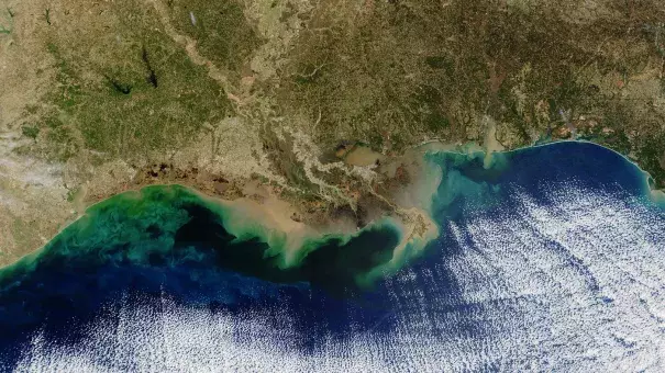 The teal blue area along the Louisiana coastline represents a "dead zone" of oxygen-depleted water. Resulting from nitrogen and phosphorus pollution in the Mississippi River, it can potentially hurt fisheries. Photo: NASA/Getty Images