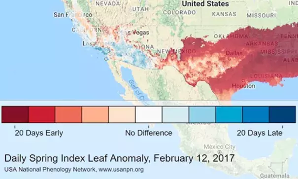 An index of the seasonal progress of leafy plants shows conditions 20 days or more ahead of schedule over large parts of the South and Southwest as of Sunday, February 12. Image: USA National Phenology Network via @TheresaCrimmins