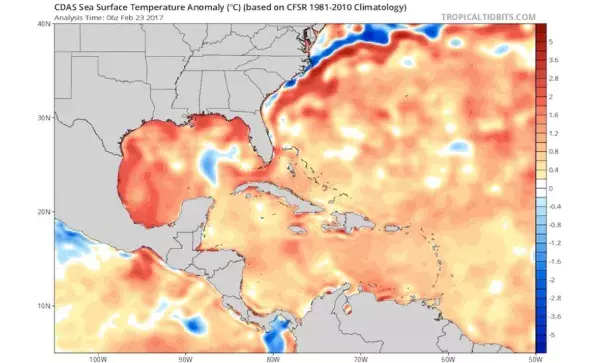 Sea-surface temperatures early on Thursday, February 23, 2017, were running 1-2°C (1.8-3.6°F) above average over large parts of the Gulf of Mexico, Caribbean, and northwest Atlantic. Image: www.tropicaltidbits.com, via Eric Blake