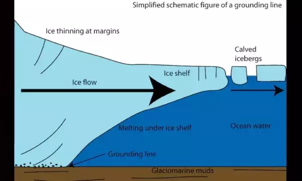 Schematic of an ice shelf (right) extending from a land-based glacier (left). The grounding line is the point where the ice, land, and sea intersect. Image: antarcticglaciers.org