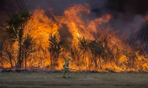 A firefighter walks past a back-burn as flames leap along the American River Parkway near Cal Expo in Sacramento, Calif. Experts say climate change is making fire seasons longer and harsher. Photo: Hector Amezcua