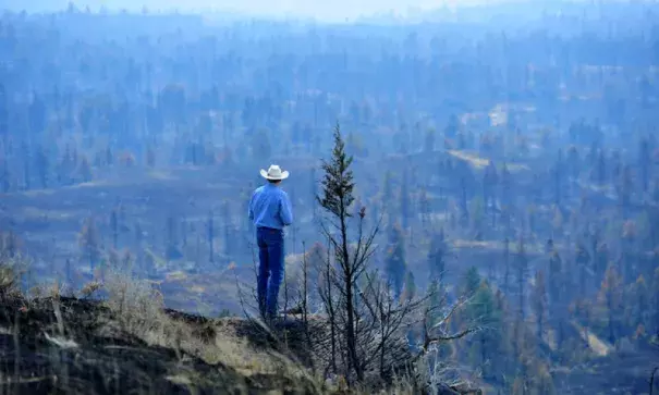 Tim Weyer tours his ranch, which was consumed by the Lodgepole fire complex, Tuesday, July 25, 2017 in Sand Springs, Montana. Image: Rion Sanders, The Great Falls Tribune via AP