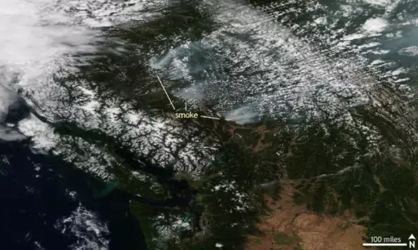 Suomi NPP satellite image taken of British Columbia on July 30, 2017 using the VIIRS instrument. The smoke from several wildfires burning across the province are visible. Image: NOAA Climate.gov, NOAA Environmental Visualization Laboratory