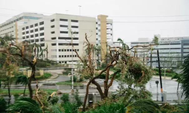 Damaged trees and winds during Hurricane Maria in Guaynabo, P.R., on Wednesday. Photo: Erika P. Rodriguez, The New York Times