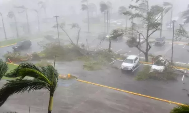 Trees are toppled in a parking lot at Roberto Clemente Coliseum in San Juan, Puerto Rico, on September 20, 2017, during the passage of the Hurricane Maria. Photo: Hector Retamal, Agence France-Presse/Getty Images