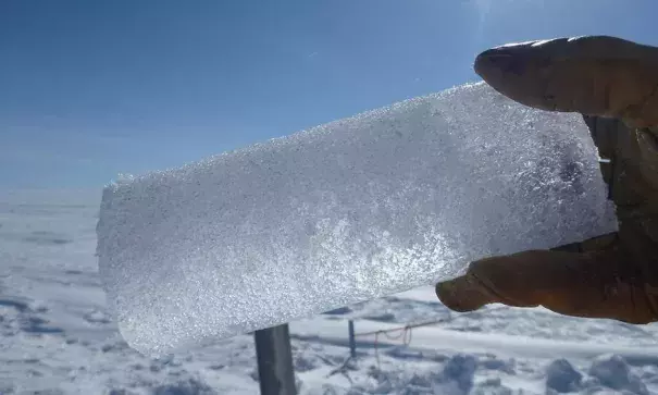 An ice core. Photo: Ludovic Brucker, NASA's Goddard Space Flight Center