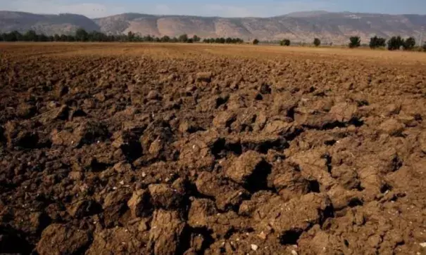 A dry agricultural field is seen in the Hula Valley, northern Israel October 23, 2017. Photo: Amir Cohen, Reuters