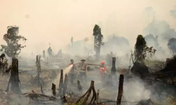 Police and a fire fighter from a local forestry company try to extinguish a forest fire in the village in Rokan Hulu regency, Riau province, Sumatra, Indonesia August 28, 2016 in this photo taken by Antara Foto. Picture taken August 28, 2016. Photo: Rony Muharrman, Antara Foto via Reuters