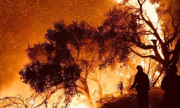 Firefighters knock down flames as they advance on homes atop Shepherd Mesa Road in Carpinteria, California, U.S. December 10, 2017. Photo: Mike Eliason, Santa Barbara County Fire Department