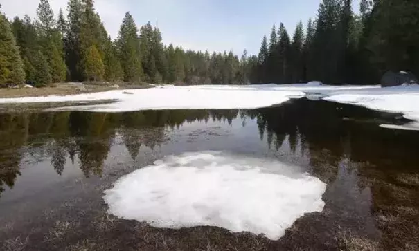 Melting snow forms a pool in a meadow in the Sierra National Forest. Data from snow sensors across the West show that the snowpack has been melting earlier on average as the climate has grown warmer. Photo: Jay Calderon, The Desert Sun