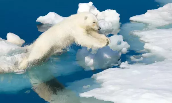 ‘This is an anomaly among anomalies’: temperatures in parts of the Arctic have recently risen well above average Photo: Ralph Lee Hopkins, National Geographic/Getty Creative/Getty Images
