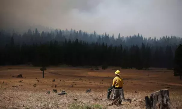 A U.S. Fish and Wildlife Service firefighter monitors the Rim Fire in August 2013 near Groveland, California. Photo: Justin Sullivan, Getty Images