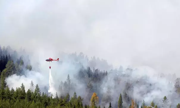 Firefighters battle a blaze in a forest in western Sweden, the worst-hit country. Photo: Mats Andersson, EPA