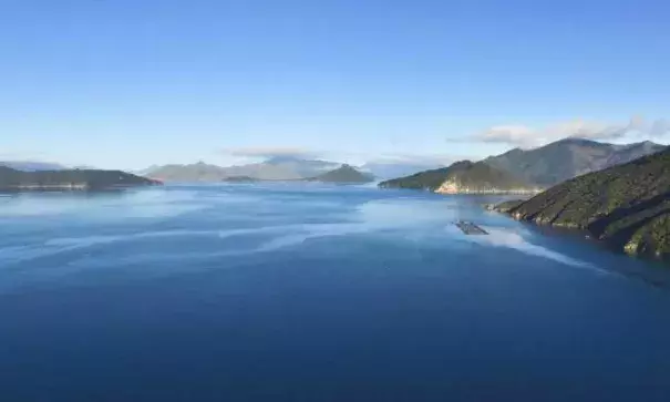 A salmon farm in the Pelorus Sound. Greater acidity could stunt the growth of finfish larvae. Photo: Stuff