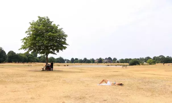 A woman sunbathes on the burnt dry grass on Wimbledon Common in London, caused by a prolonged summer heatwave, July 2918. Photo: Amer Ghazzal, REX/Shutterstock