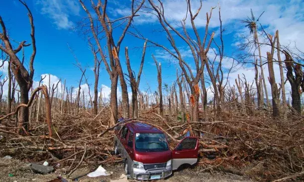 A wrecked van lies amid felled trees in Tacloban City on November 14, 2013 in Tacloban. Photo: Dondi Tawatao, Getty Images