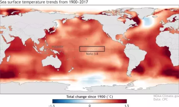 Change in sea surface temperature since 1900, using ERSSTv4. Image: Climate.gov from CPC data