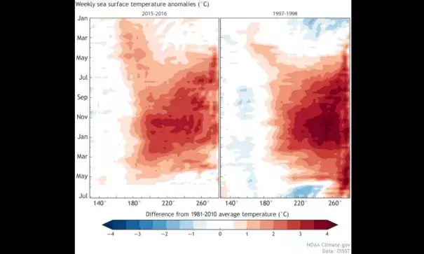 Equatorial Pacific sea surface temperature, 2015-2016 (left) compared to 1997-1998 (right). Each row in this type of image is the departure from average at that time. Weekly data is shown starting in January 2015 and 1997 (top). Data ends at the end of May 2016 (left) and end of June 1998 (right). Image: Climate.gov, CPC data