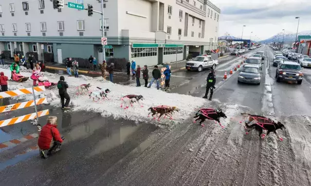 The ceremonial start of the course in Anchorage, Alaska, had to be shortened due to lack of snow. Photo: Alamy Stock Photo
