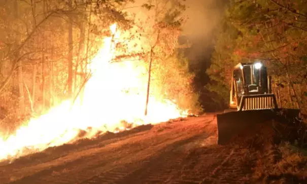 The Alabama Forestry Commission uses many methods to try to contain wildfires, such as installing fire lanes. Photo: Dothan Eagle