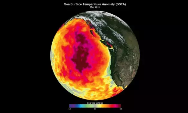 This map shows anomalously high sea-surface temperatures in the Pacific Ocean in May 2015 as compared to the 2002–2012 average. The recent warm-water phenomenon is known as “the Blob.” Image: American Geophysical Union