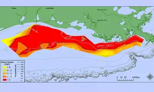 At 8,776 square miles, this year’s dead zone in the Gulf of Mexico is the largest ever measured. Image: N. Rabalais, LSU/LUMCON