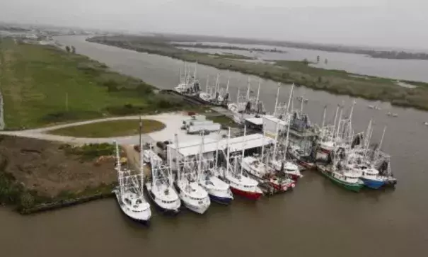 Shrimp boats are parked in Venice, La., near the mouth of the Mississippi River and the Gulf of Mexico, in 2010. Photo: Gerald Herbert/AP