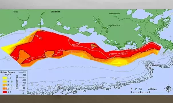 At 8,776 square miles, this year’s dead zone in the Gulf of Mexico is the largest ever measured. Image: N. Rabalais, LSU/LUMCON