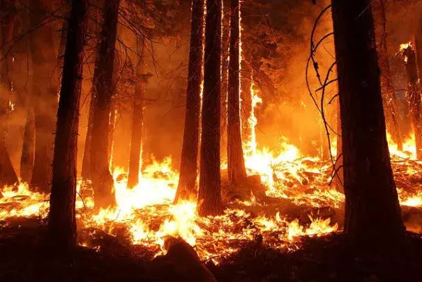 Photo: Mike McMillan, US Forest Service