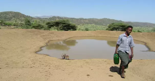 Farmers in North Wollo, the most drought-sensitive area of the country, say their crops have failed. Photo: Arron Reza Merat, GlobalPost