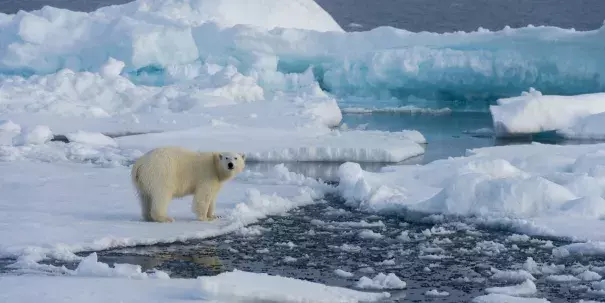 Photo: Wolfgang Kaehler, Getty