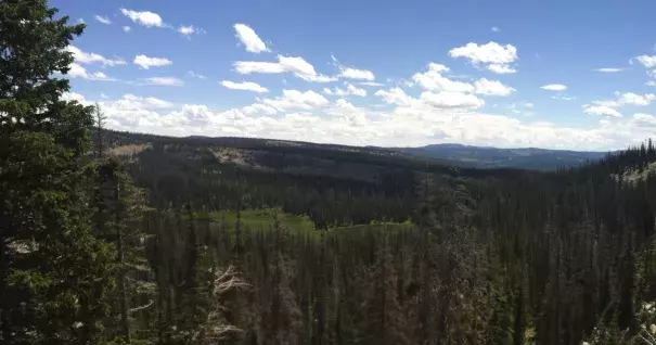 Big Elk Lake, as seen on July 13, 2015, sits at the end of a 1.75 mile trail in the Uinta Mountains in Summit County. Summit County is one of five counties in Utah that has had a report of Lyme disease. Photo: Nate Carlisle, Salt Lake Tribune