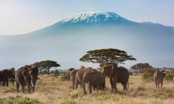 Mount Kilimanjaro - a natural wonder at risk from climate change as its glaciers shrink. Photo: khanbm52, Getty Images/iStockphoto