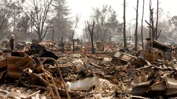 Firestorm ruins in Santa Rosa, California on October 18. Photo: Los Angeles Times