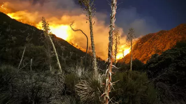 The Blue Cut fire continues to burn north of Lytle Creek in San Bernardino County. Photo: Marcus Yam / Los Angeles Times