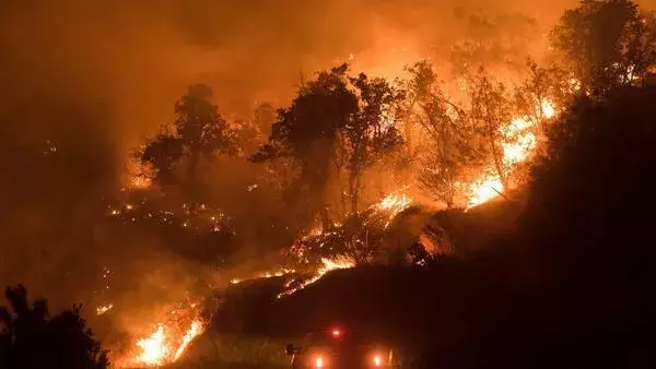 Flames from the Detwiller fire spread down a hillside near Mariposa, California on July 17, 2017. Photo: Noah Berger, EPA