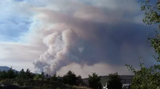 The wildfire in the San Bernardino Mountains has grown. Photo: Audrey Scranton, Handout via U.S. Forest Service