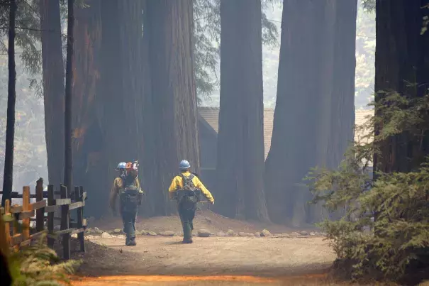 Members of the Sierra Hot Shots walk through Camp Pico Blanco on Aug. 6. The Boy Scout camp went undamaged from the Soberanes Fire. Photo: Vern Fisher / Associated Press