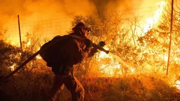 Firefighters attempt to control flames as they approach a vineyard in the Santa Cruz Mountains. Photo: Josh Edelson, AFP, Getty Images